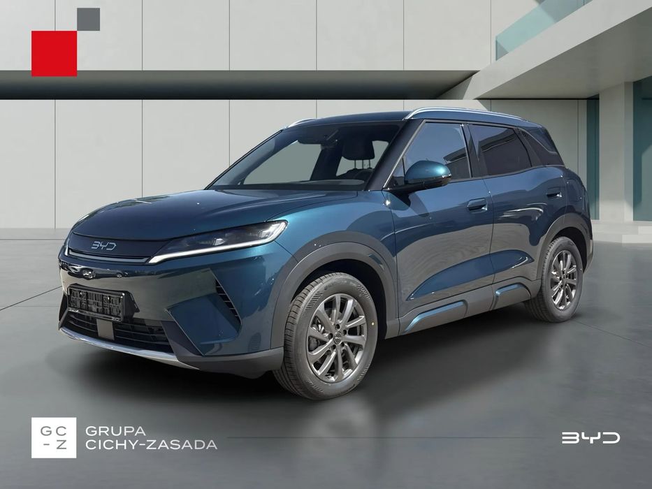 BYD Pozostałe BYD