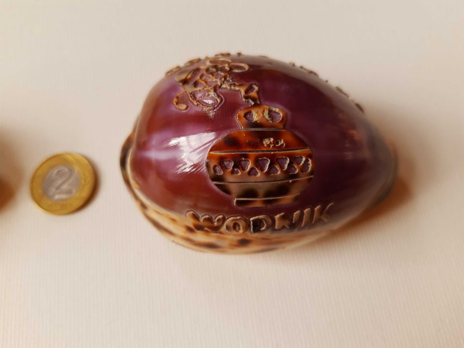 Rzeźba z muszli cypraea - Znak zodiaku Wodnik