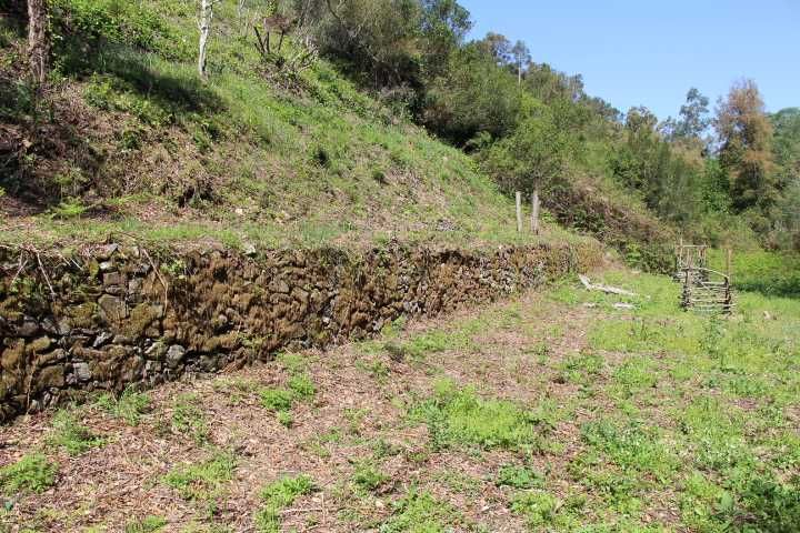 Quinta,3ruinas,Agua,hortas,Paz e privacidade