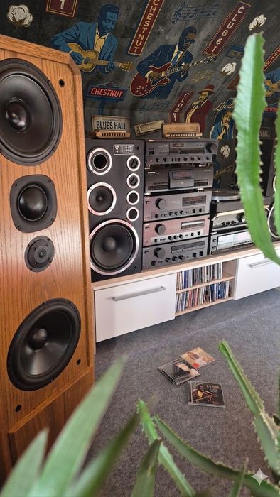 SONY TA  F-555ES   i   TA  F-555ES II