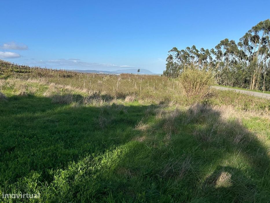 Terreno rústico com 2.320 m² entre Ribaldeira e Furadouro