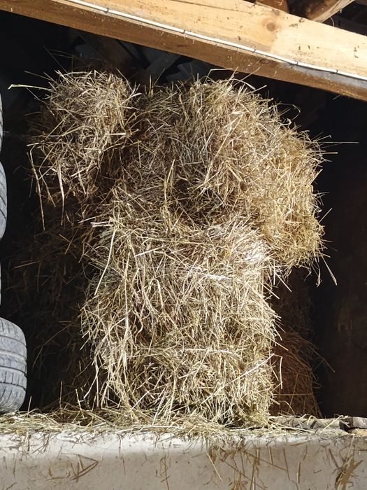 Kostki siana ,sezon 2025  duże sipma z224