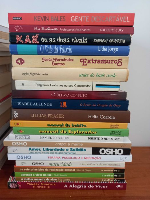 Livros - várias temáticas - baratos