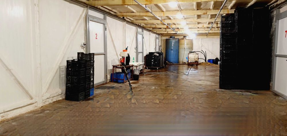 Агропромисловий комплекс по вирощуванню грибів.