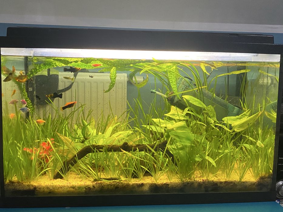 Akwarium 120l w pełni szczelne