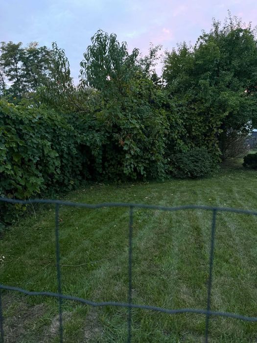 Działka ROD 340 m², ogrodzona, ze studnią i altaną | ROD "Bratek"