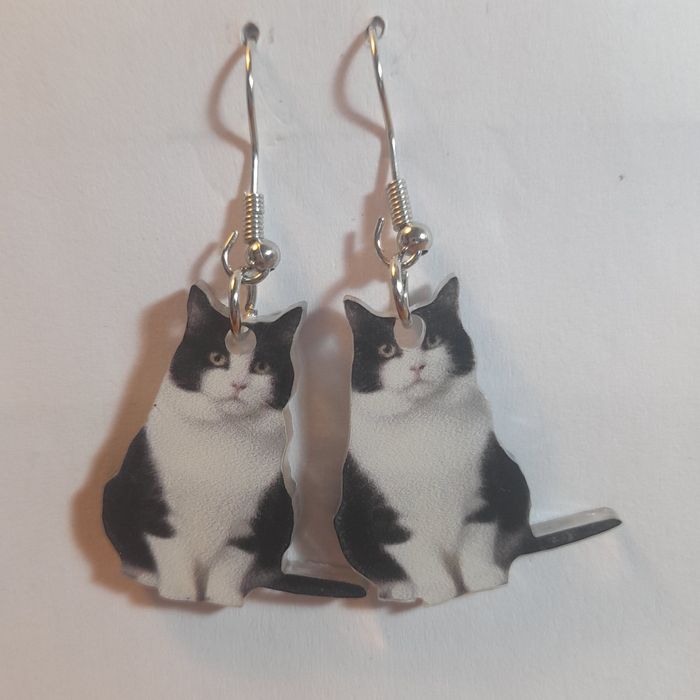 Brincos gatos muito fofos .