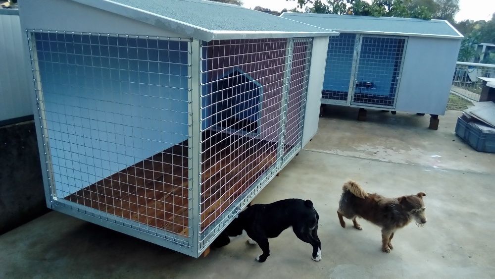 Casota confortável e muito resistente