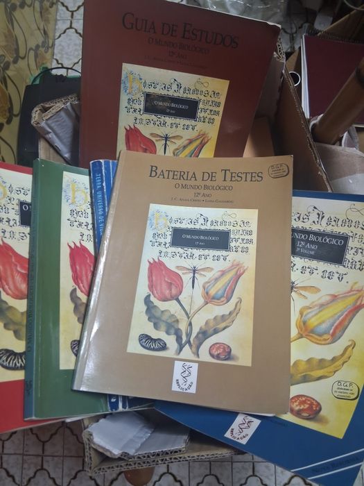 Livros Escolares antigos 1990/2000
