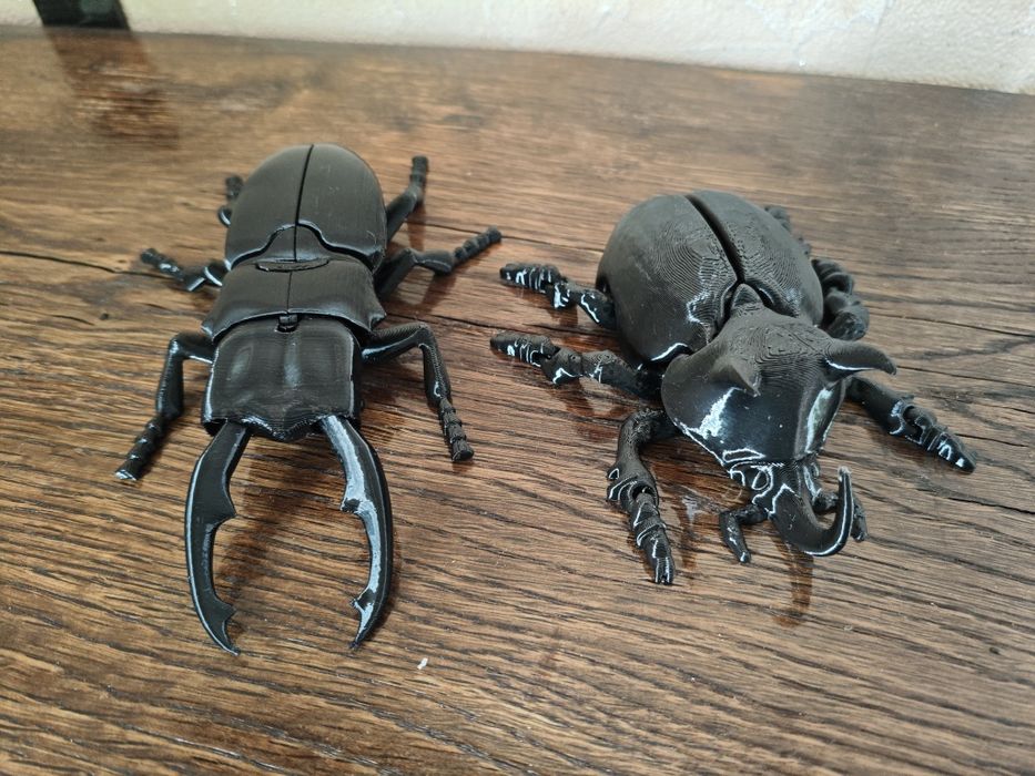 3D Жук-олень, жук-носоріг.