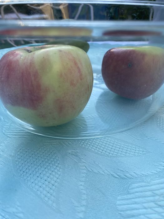 Dwa naczynia żaroodporne za 30zl