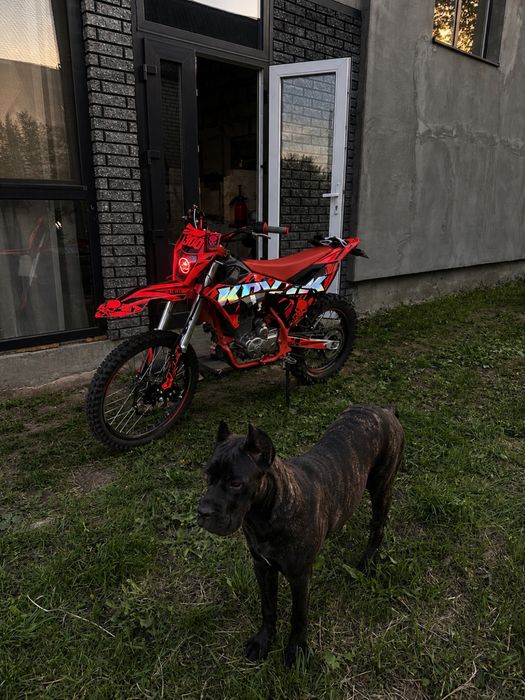 KOVI JNS 300 в гарному стані продам а бо обмін