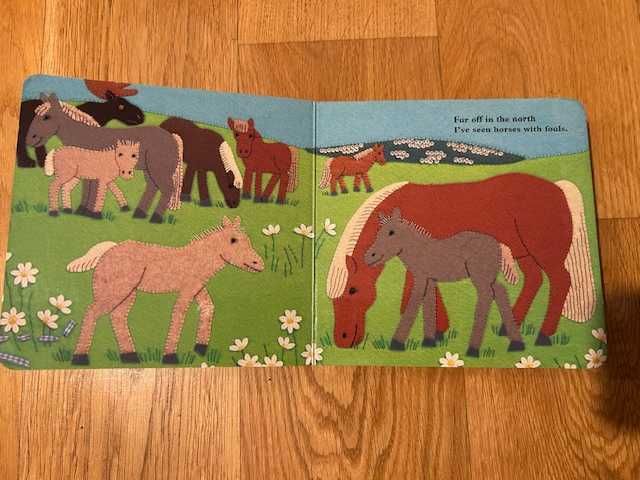 Elusive Moose - książeczka po angielsku dla dzieci