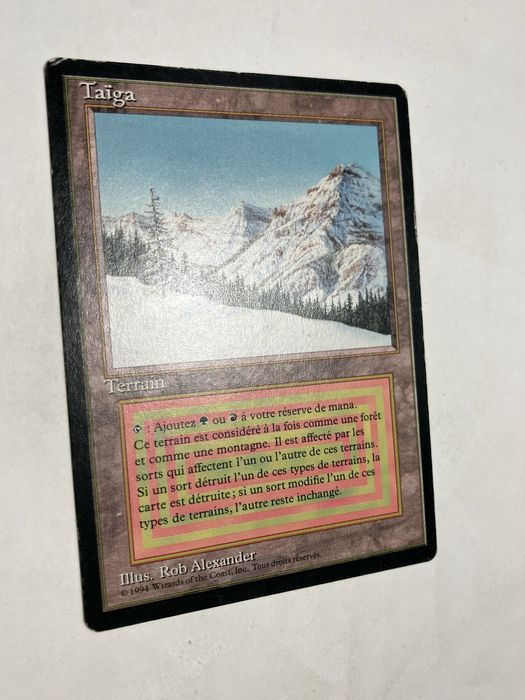 Magic the Gathering , Taiga Fbb
