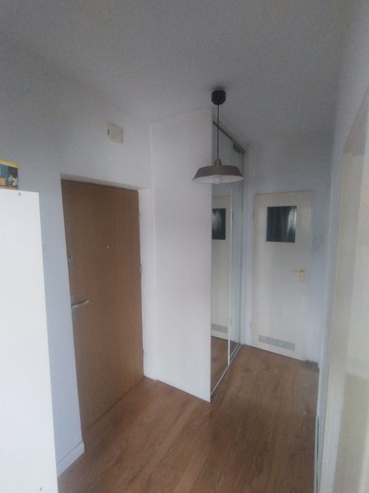 2 pokoje, Popiela, wolne od zaraz - Widok 2