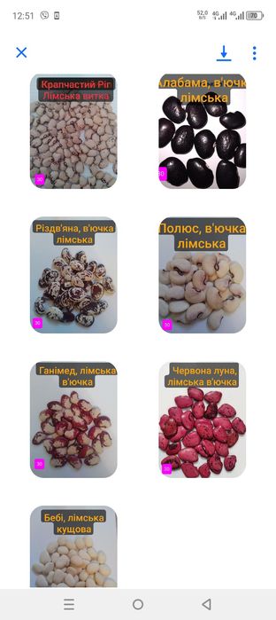 Продам лімську квасолю,кузову,витку