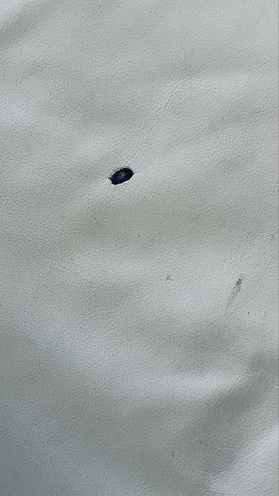 Sofa em pele com chez lomg