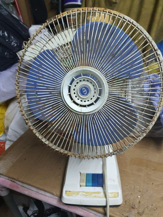 Quando o calor aperta, o fresquinho sabe bem