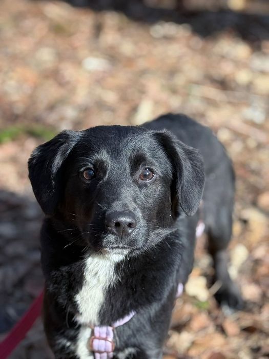 Młoda, urocza Omulew szuka rodziny na zawsze