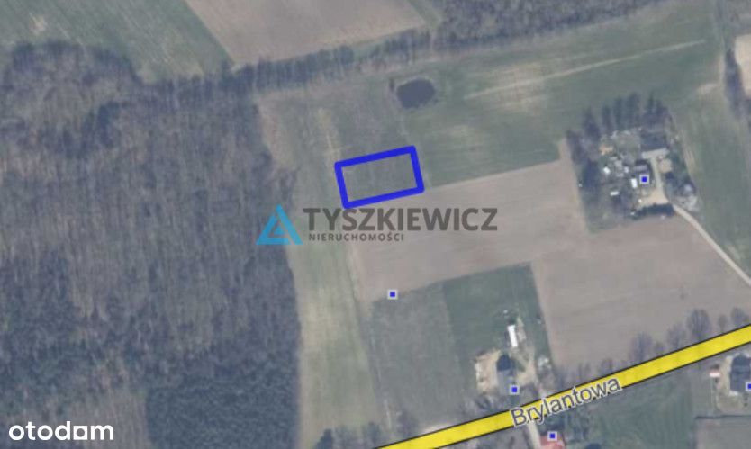 Malownicza działka | Skrzeszewo | 30min do Gdańska