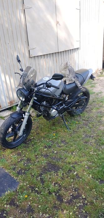 Honda VTR250 strit bike