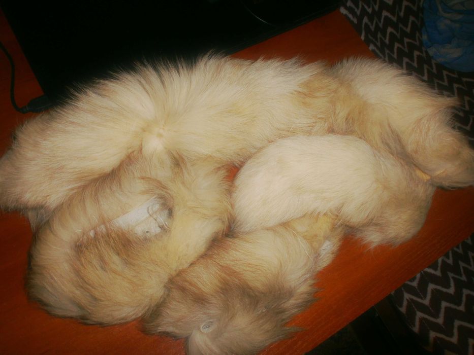 Воротник песец  500 грн