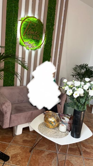 Mech chrobotek do decoracji wnętrz