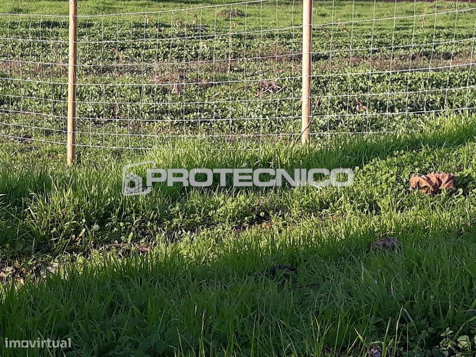 Terreno com 20m de frente - Sarrazola — Cacia, Aveiro