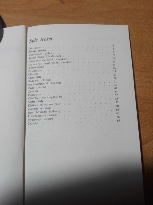 Świnka morska , mysz biała, szczur biały - M. Huszcz