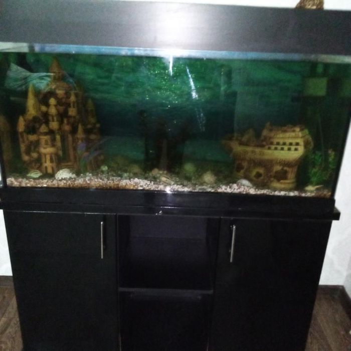 Аквариум большой