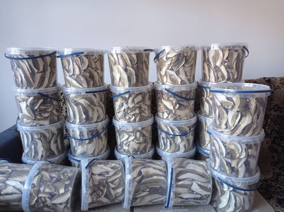 Гриби білі без піску Закарпаття