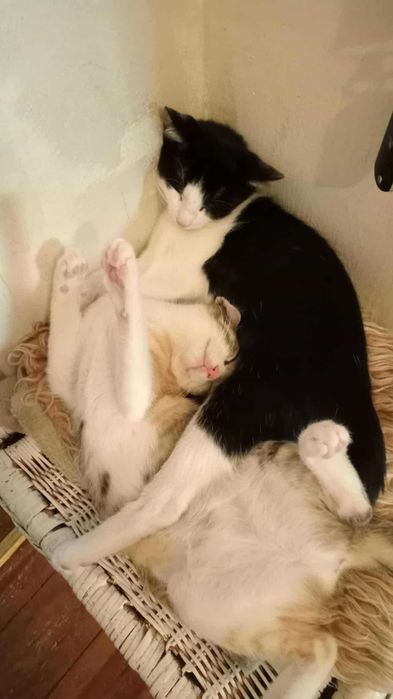 Maciek czeka na domek