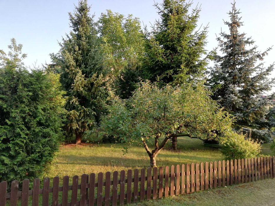 Działka - ROD - 300 m2