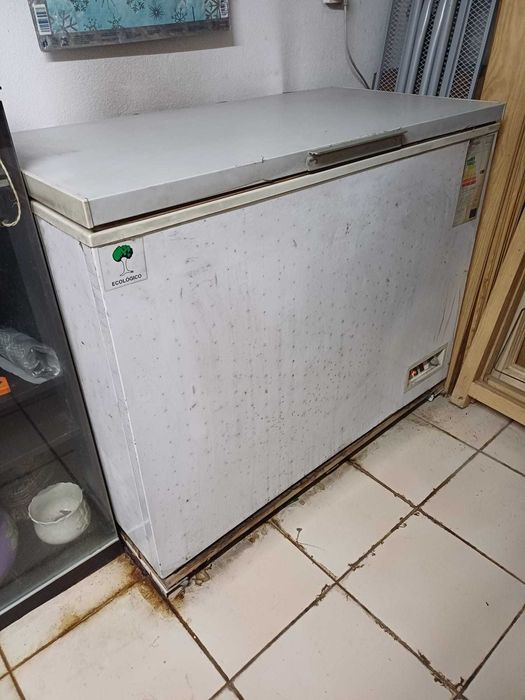 Arca Horizontal Beraltina – 309 L – Usada