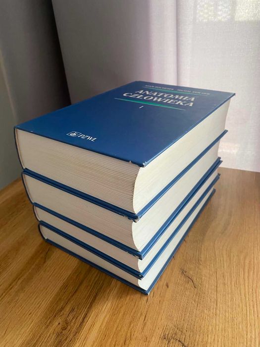 Anatomia człowieka Bochenek