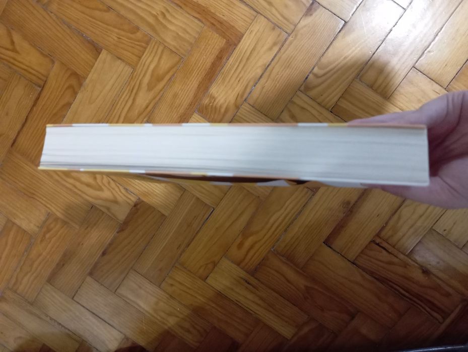 Lola - Cátia Vieira