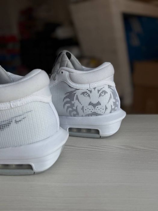 Nike Lebron Witness 45/29