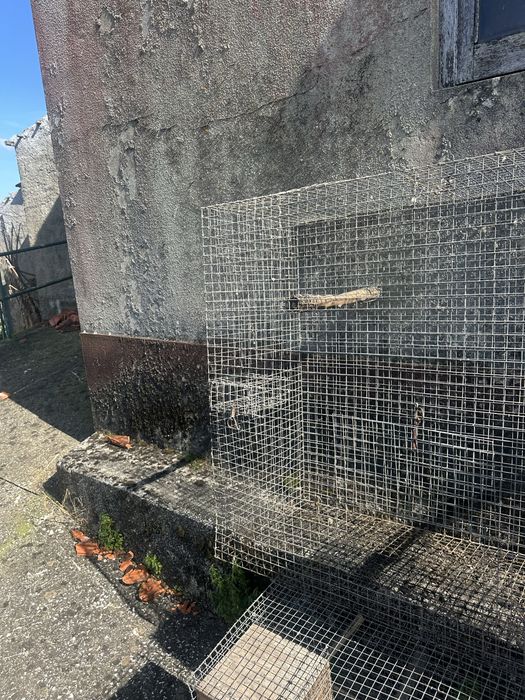 3 gaiolas  para aves