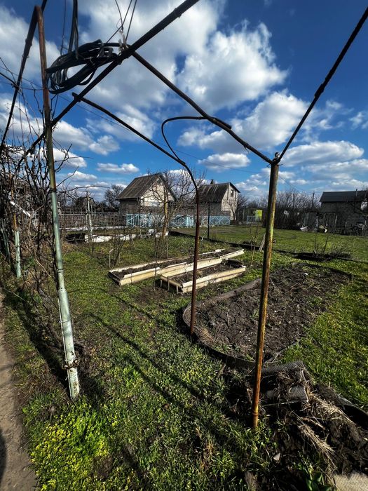 Дача,даманский, придорожное