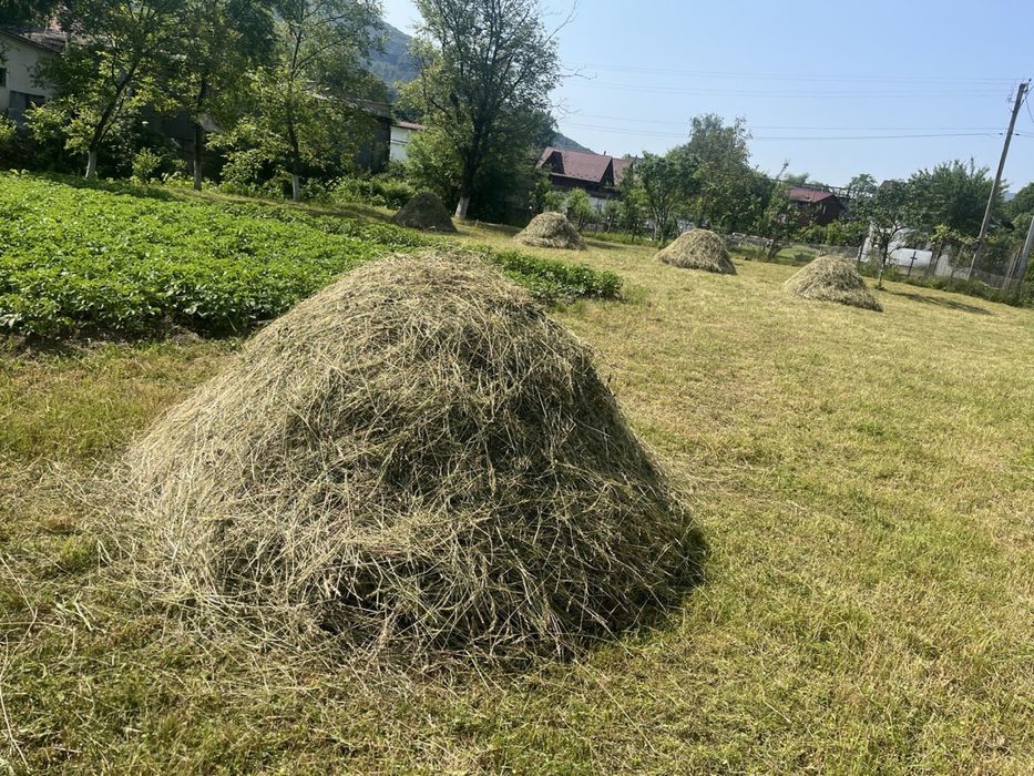Продається загороднє сіно