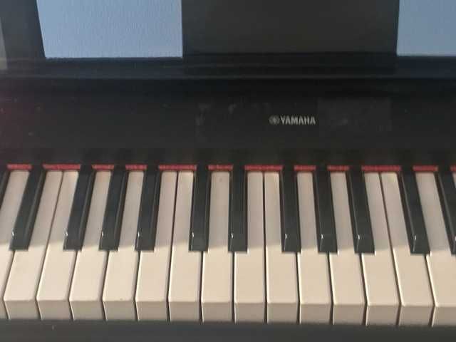 teclado digital Yamaha Piaggero NP11