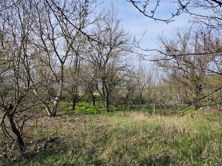 Продаж дачі, земельна ділянка площею 6.26 сотки, Обухівка. Ізумруд.