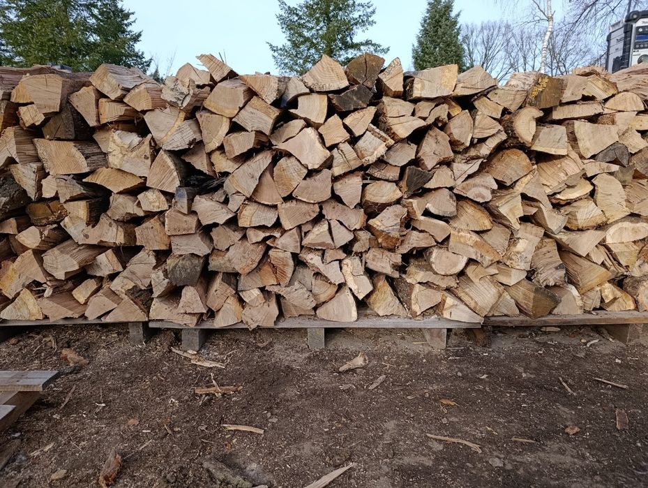 Drewno opałowe dębowe