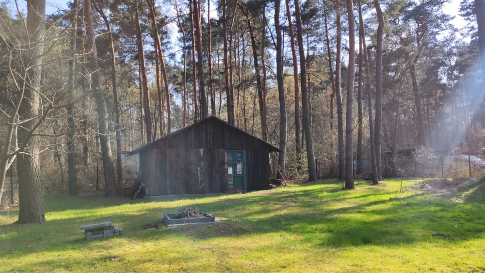 Domek letniskowy Pilica-Sulejów