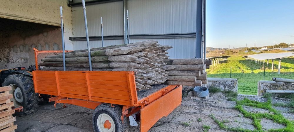 Paus tratados para plantação de pomar