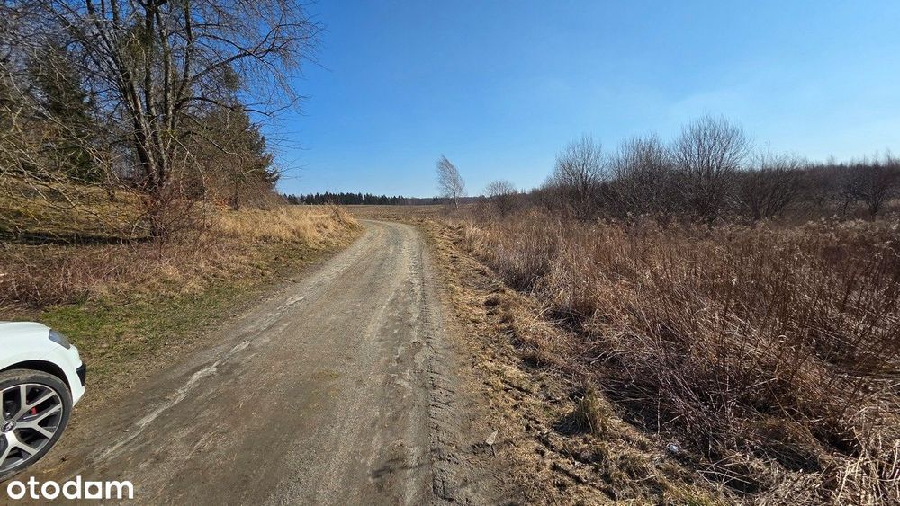 Działka budowlana Łęcze, gmina Tolkmicko - Widok 2