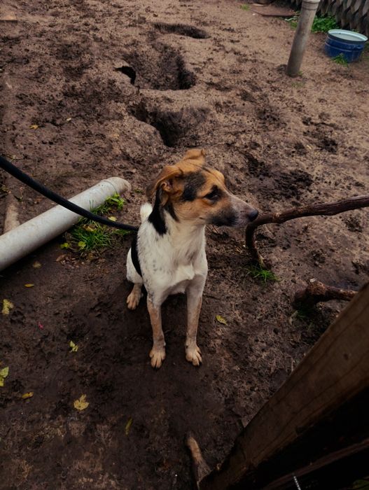 Рик ищет ответственную семью