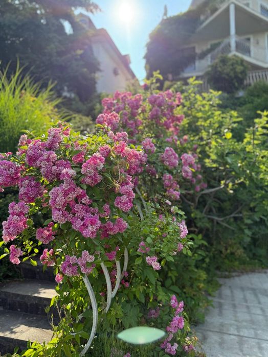 Дом по адресу Петефі Шандора пл. (площадь 400 м²) - Atlanta.ua - фото 13