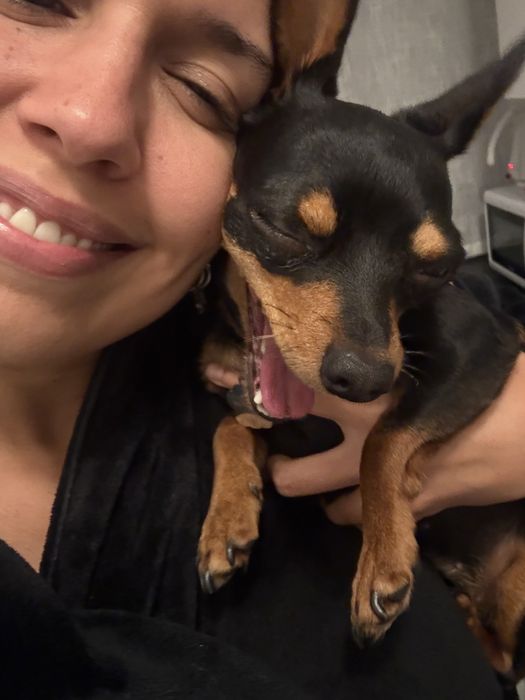 Tomar conta/ Passeio de caẽs. Dog walking. Petsitting. Pet care