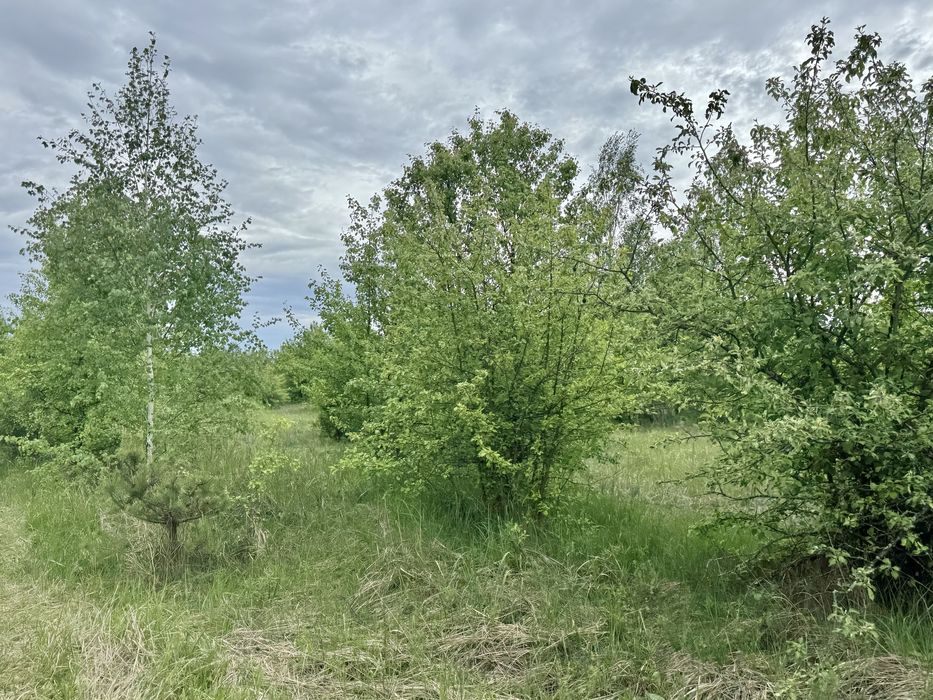 Земельна ділянка 1,5 га!!! Пилиповичі